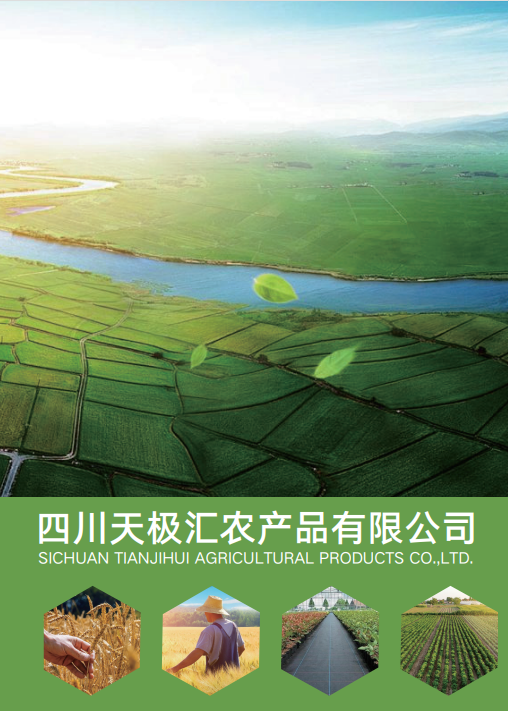 政府食堂蔬菜配送交付后如何维护日常供应?成华区按这四步核验 政府食堂蔬菜配送交付后如何维护日常供应?成华区按这四步核验