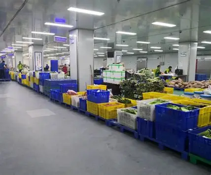 蔬菜配送公司如何确定食堂每日的配送清单和数量